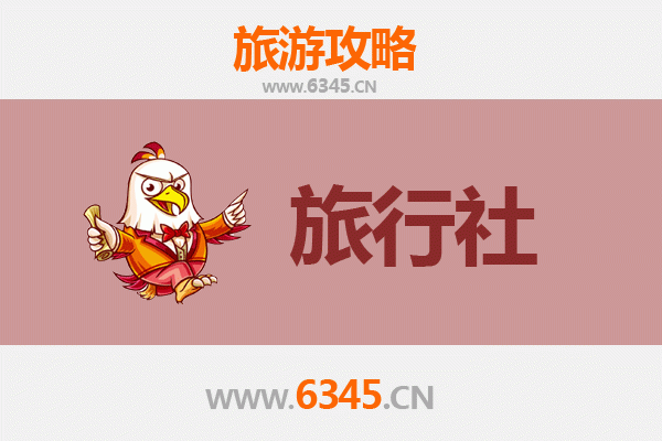 渭南临渭区本地旅行社推荐与深度游玩攻略